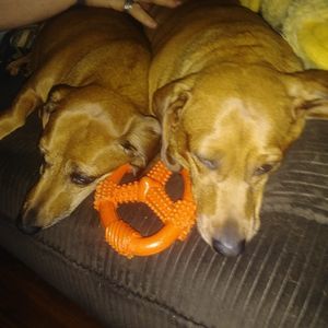 Meet your Posher, Mikey